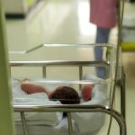 Detenida enfermera por suministrar morfina a un bebé