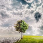 Cambio climático origina nuevas enfermedades, dice experta