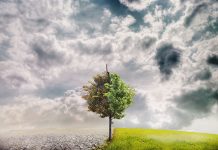 Cambio climático origina nuevas enfermedades, dice experta