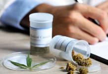 Chipre aprueba uso medicinal del cannabis