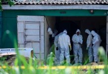 El Salvador: Comienza retiro de cadáveres en cementerio clandestino el salvador, comienzo, retiro, cementerio clandestino, cadaveres,