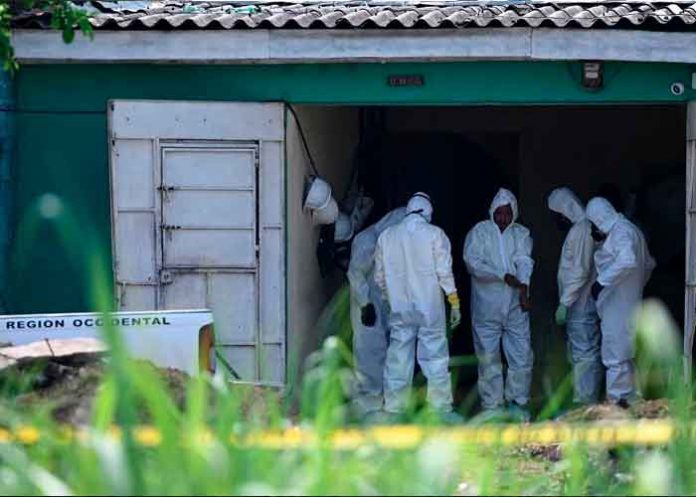 el salvador, comienzo, retiro, cementerio clandestino, cadaveres,
