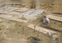 Macabro hallazgo: 7.000 cadáveres podrían estar enterrados bajo la Universidad de Misisipi