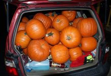Detenidos tres jóvenes por robar 48 calabazas de Halloween