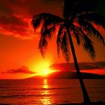 Olas de calor y sequías serán más comunes en segunda mitad de siglo