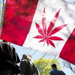 Canadá presentará en abril proyecto de legalización de la marihuana