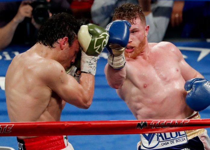 Canelo2