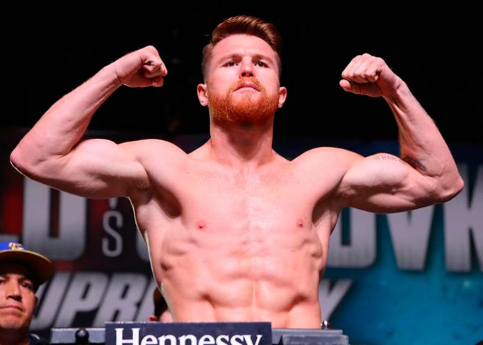 Canelo_MIHNYEC