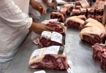 argentina, alza de precios, exportaciones, carne vacuna, restricciones,