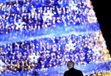 Trump inaugura el árbol nacional de Navidad (FOTOS)