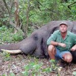 Cazador sudafricano muere al ser aplastado por elefante