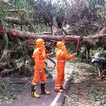 india, evacuacion, personas, ciclon, tauktae, autoridades,