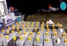 4 detenidos por transportar 1.441 paquetes de cocaína en Costa Rica costa rica, detenidos, transporte, cocaina, autoridades, lancha rapida,