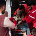 tendencia, dia mundial, aves migratorias, origen,