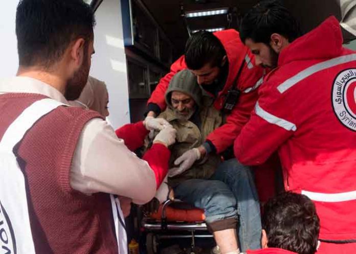 tendencia, dia mundial, aves migratorias, origen,