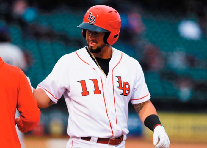 cheslor, cuthbert, louisville, bats,