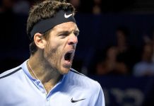 Del Potro cae en semis en París y no alcanza la Copa Masters