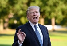 Trump: Protesta de jugadores de la NFL «no tiene nada que ver con raza»