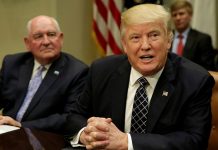 Trump y republicanos sacan el muro con México de negociación del presupuesto