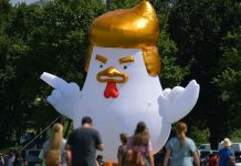 Globo protesta de Donald Trump llega a la Casa Blanca