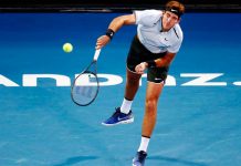 Del Potro no jugará el repechaje ante Kazajistán