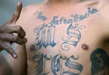 Unos 39 detenidos en nuevo golpe a la MS-13 de Nueva York