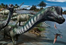 Dedican a Clint Eastwood el dinosaurio más alto de Europa