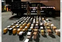 Panamá: Decomisan más de 500 paquetes de droga con destino a Bélgica panama, decomiso, paquetes, droga, belgica, autoridades,