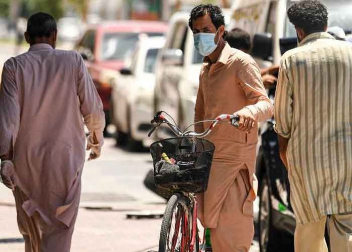 dubai, policia, advertencia, felino suelto, zona residencial,