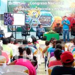produccion apicola, nicaragua, inta, exportaciones,