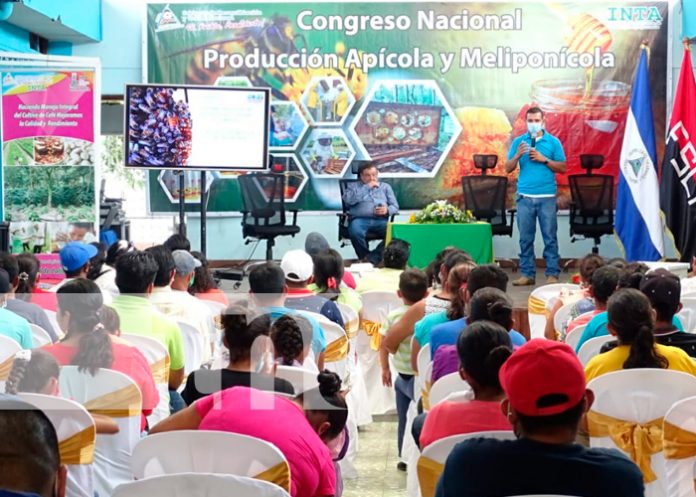 E1dBwd_XMAEQyP7 produccion apicola, nicaragua, inta, exportaciones,