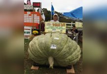 EEUU: Granjero gana concurso con calabacín de 960 kilos