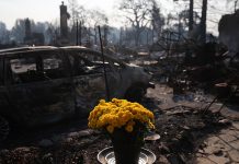 Desalojados por incendios en California regresan a sus hogares
