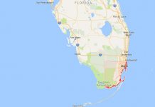 Mueren tres obreros tras colapsar grúa en torre de televisión en Miami