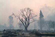 Un muerto y dos heridos graves por fuertes incendios en California