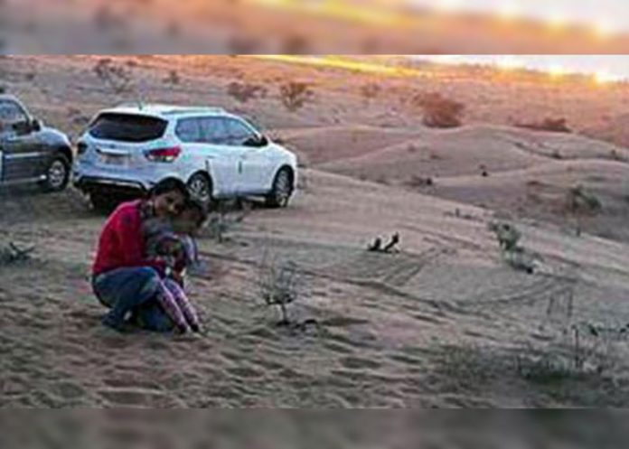 EMIRATOS-ARABES-PORTADA