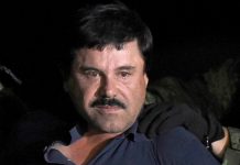 «El Chapo» contrata al abogado que defendió al mafioso John A. Gotti