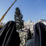 FOTOS Y VIDEO: Árbol de Navidad obsequiado por Polonia se alza ya en San Pedro