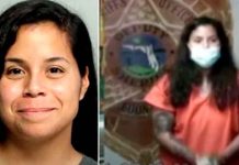 estados unidos, mujer, estudiante, seguidores, redes sociales,