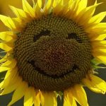 Y el país más feliz es…