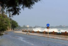 Florida toma precauciones por tormenta tropical Emily