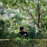 Hallan 14 cuerpos en fosas dentro de propiedad de un expolicía en El Salvador el salvador, chalchuapa, casa, expolicia, encuentro, cuerpos,