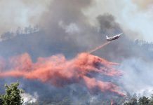 Francia detiene a dos adolescentes sospechosos de incendios