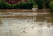 Más de 2 mil afectados por inundaciones en Livingston guatemala, livingston, inundaciones, afectaciones, familias, autoridades,