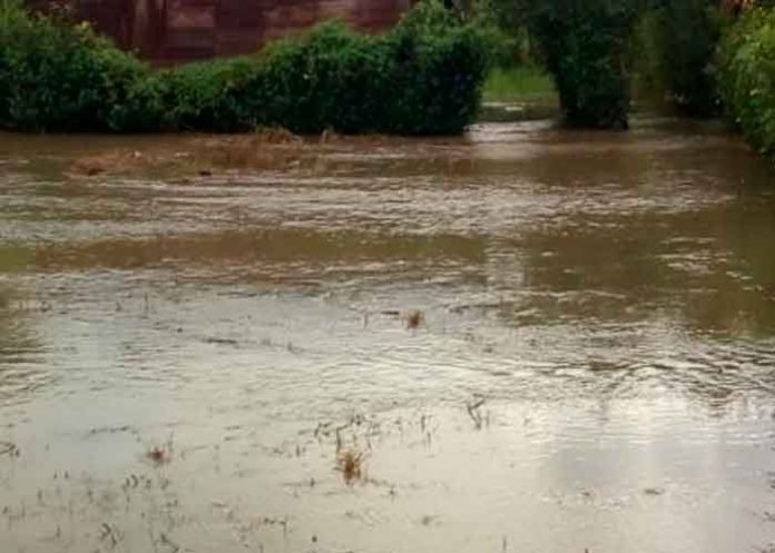 guatemala, livingston, inundaciones, afectaciones, familias, autoridades,