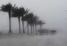 Trump pide a Texas prepararse para el paso de Harvey