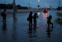 Prevén que Harvey será el desastre natural más costoso de la historia de EEUU