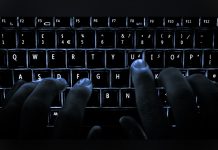Austria: hacker turco atacó sitios del gobierno desde EEUU