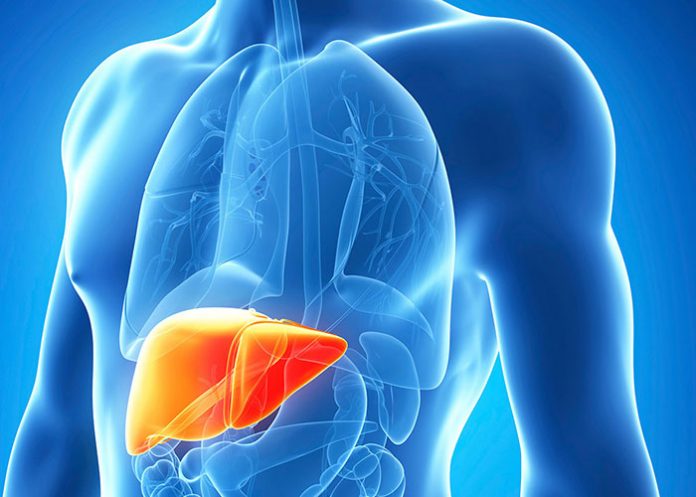 Hepatitis-web
