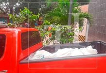 Hallan cadáver de mujer en estado de descomposición honduras, cadaver, mujer, estado de descomposicion,